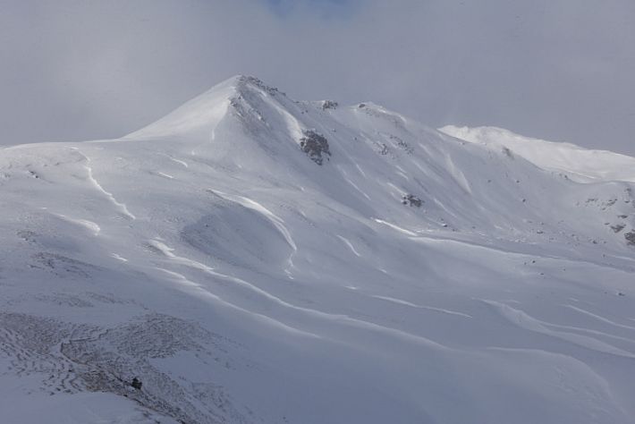Über der Waldgrenze hat der Nordwind ganze Arbeit geleistet. Nordostflanke des 2541 m hohen Hanengretji, Davos, GR (Foto: SLF/K. Winkler, 12.11.2016).