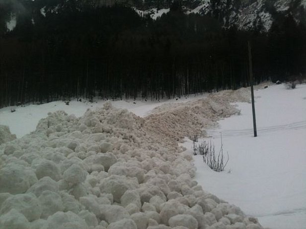 Photo 28: Cette avalanche de neige humide s’est déclenchée sur le flanc nord-ouest du Fulen (Isenthal, UR) et est descendue jusqu’aux alentours de 1000 m. Elle a traversé une route forestière fermée (photo: M. Bissig 1.03.2015).