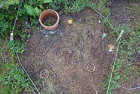 Once the vegetation is removed, the heating cables (black) become visible again.
