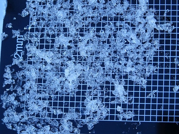 Sur les pentes orientées à l'ouest du Tubang (2825 m, Randogne, VS), la situation avec la vielle neige aussi ne s'est pas encore tassée! (Photo: V. Bettler, 24.01.2017).