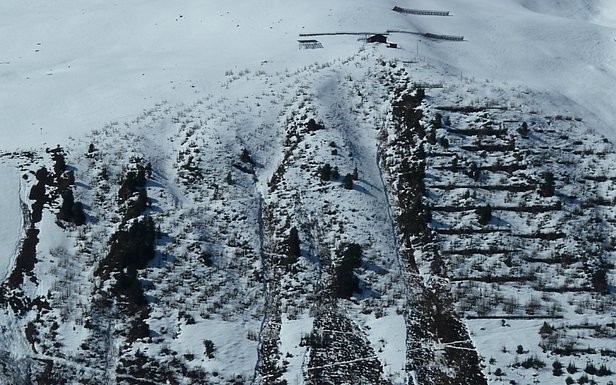 Fig. 3: At the beginning of the reforestation project, numerous avalanche events occurred almost every winter. In recent years, however, the trees have brought increasing stability to the slope. The image shows the last registered avalanche scar in 2011. Photo: Christian Rixen/SLF