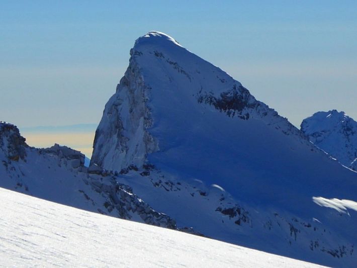 Gute Tourenverhältnisse fanden Wintersportler im Gebiet Saas-Almagell (VS). Hier im Bild die Aufstiegsspur auf den imposanten Mittelrück/ Pizzo di Loranco (3363 m, Saas-Almagell, VS; Foto: D. Rügg, 24.12.2016).