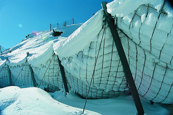 Abb. 2: Schneenetz (Foto: Archiv SLF).