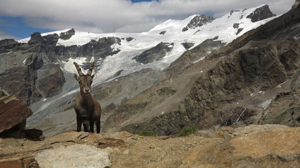 Chaleur, orages violents et brièvement de la neige à partir de 2200 m