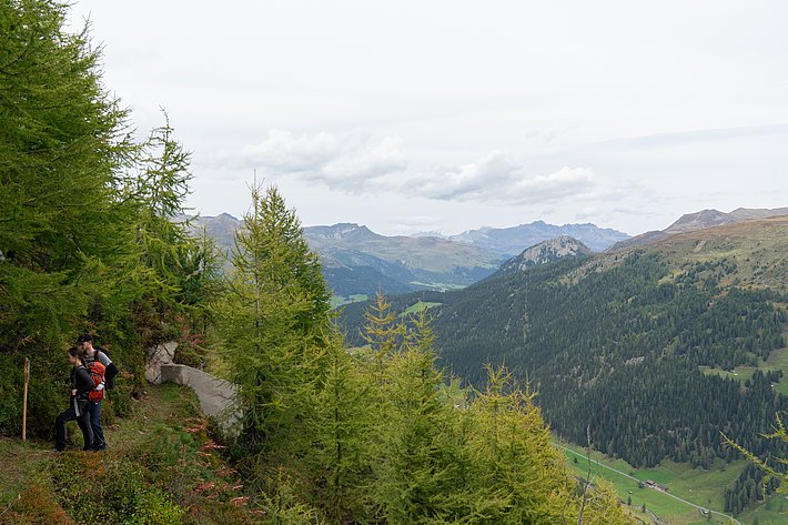 Zwei Personen stehen an einem Berghang, umgeben von Nadelbäumen. Im Hintergrund erstreckt sich eine grüne Berglandschaft mit Hügeln und Wolken am Himmel.