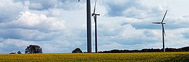 Windturbinen (Foto: Reinhard Lässig)