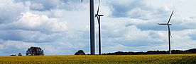 Windturbinen (Foto: Reinhard Lässig)