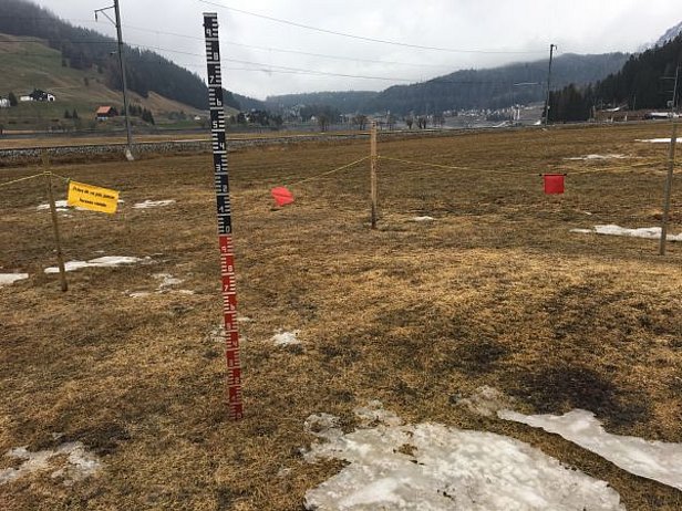 Abb. 5: Mit dem Ausapern der Messfelder beginnt wieder die Zeit der "arbeitslosen" SLF-Beobachter. Das Messfeld in Davos auf 1560 m war am 04.04. rund um den Schneepegel schneefrei (Foto: SLF/B. Zweifel).