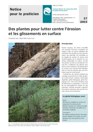 Des plantes pour lutter contre l’érosion