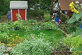 Un jardin familial riche en espèces à la périphérie de Zurich.