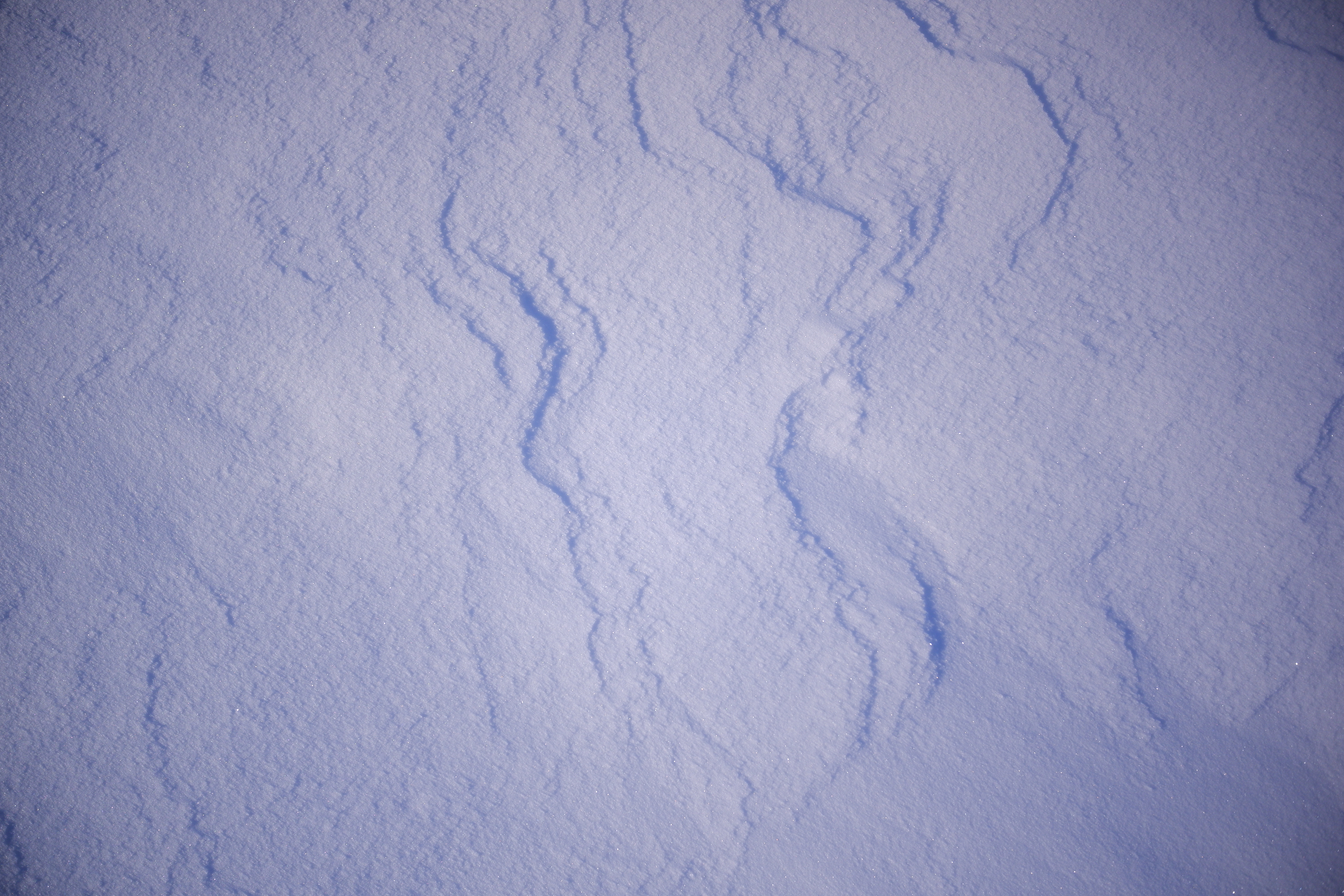 The sound and colour of snow