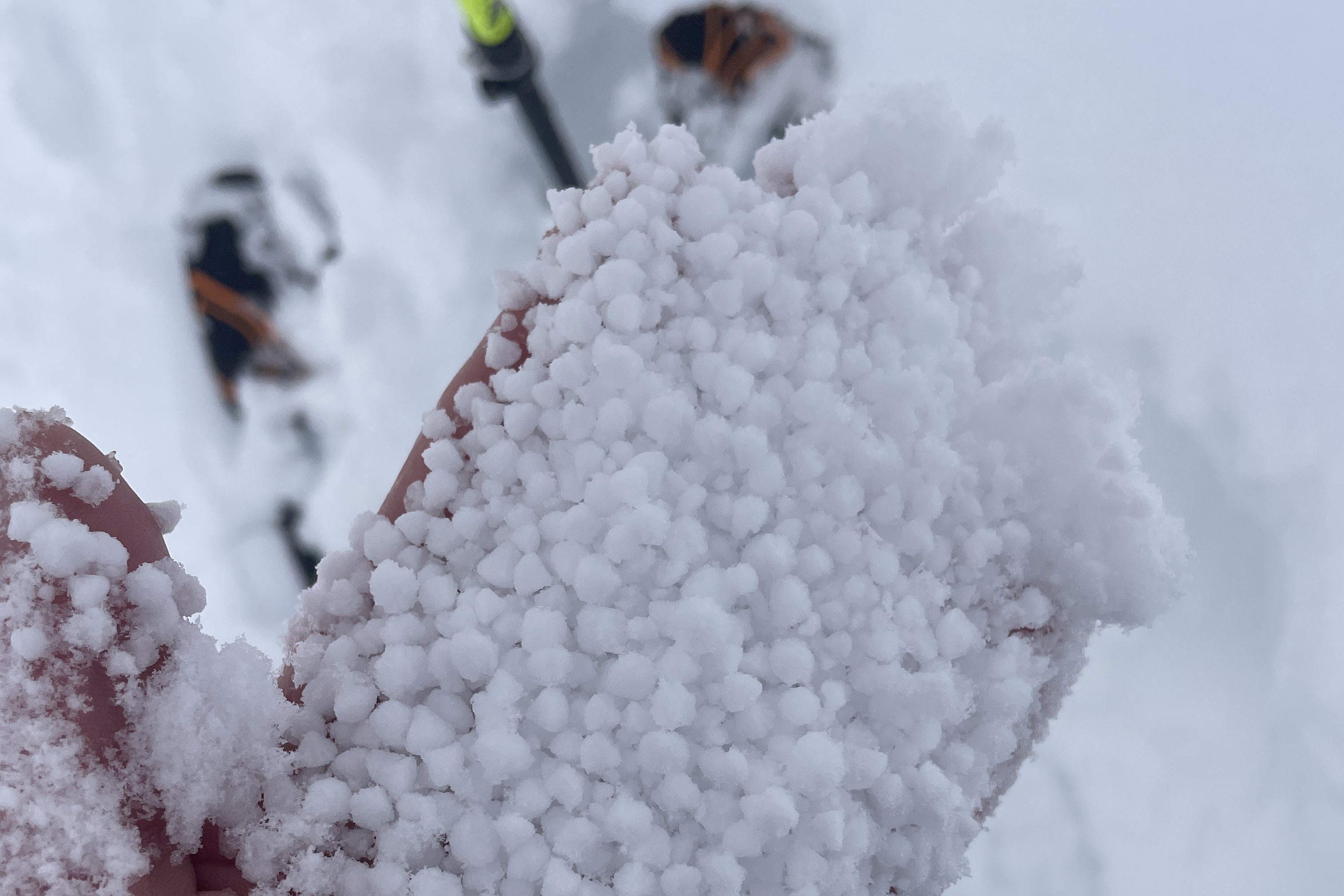 L'hiver au printemps