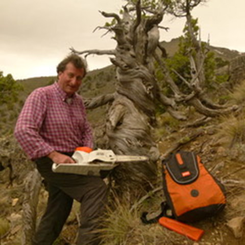 Link to the publication